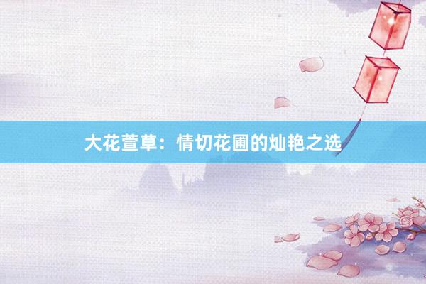 大花萱草：情切花圃的灿艳之选