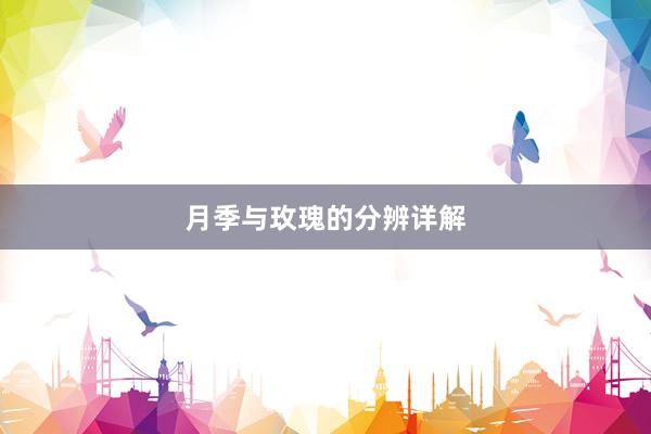 月季与玫瑰的分辨详解