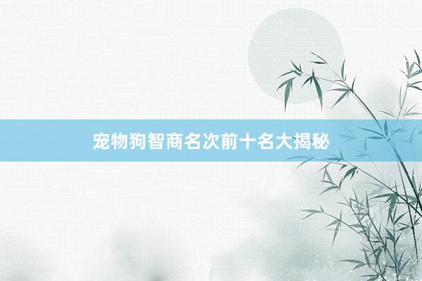 宠物狗智商名次前十名大揭秘